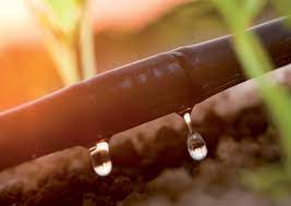 Linia kroplująca PRO PC 16/33/2,2 - 100mb Watermil