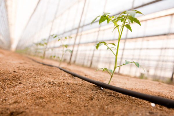 Linia kroplująca PRO PC 16/33/2,2 - 100mb Watermil