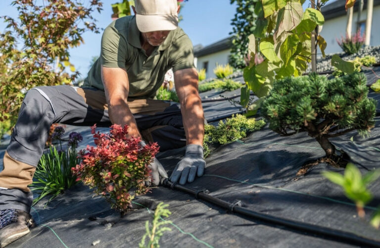 Linia kroplująca z kompensacją ciśnienia vs bez – czym się różni i kiedy wybrać?